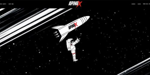 ApingX